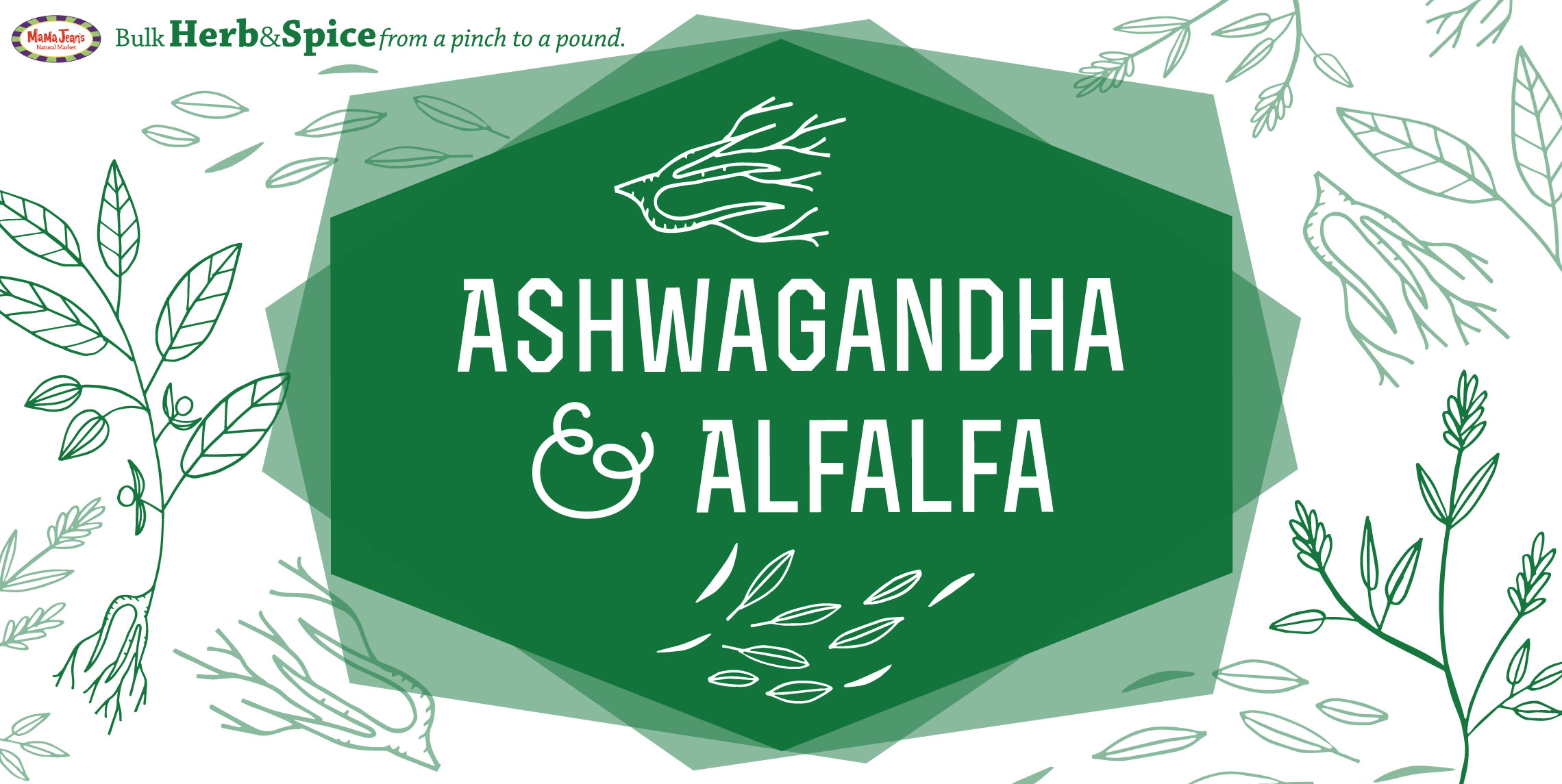 Herb & Spice Feature Ashwaganda Alfalfa