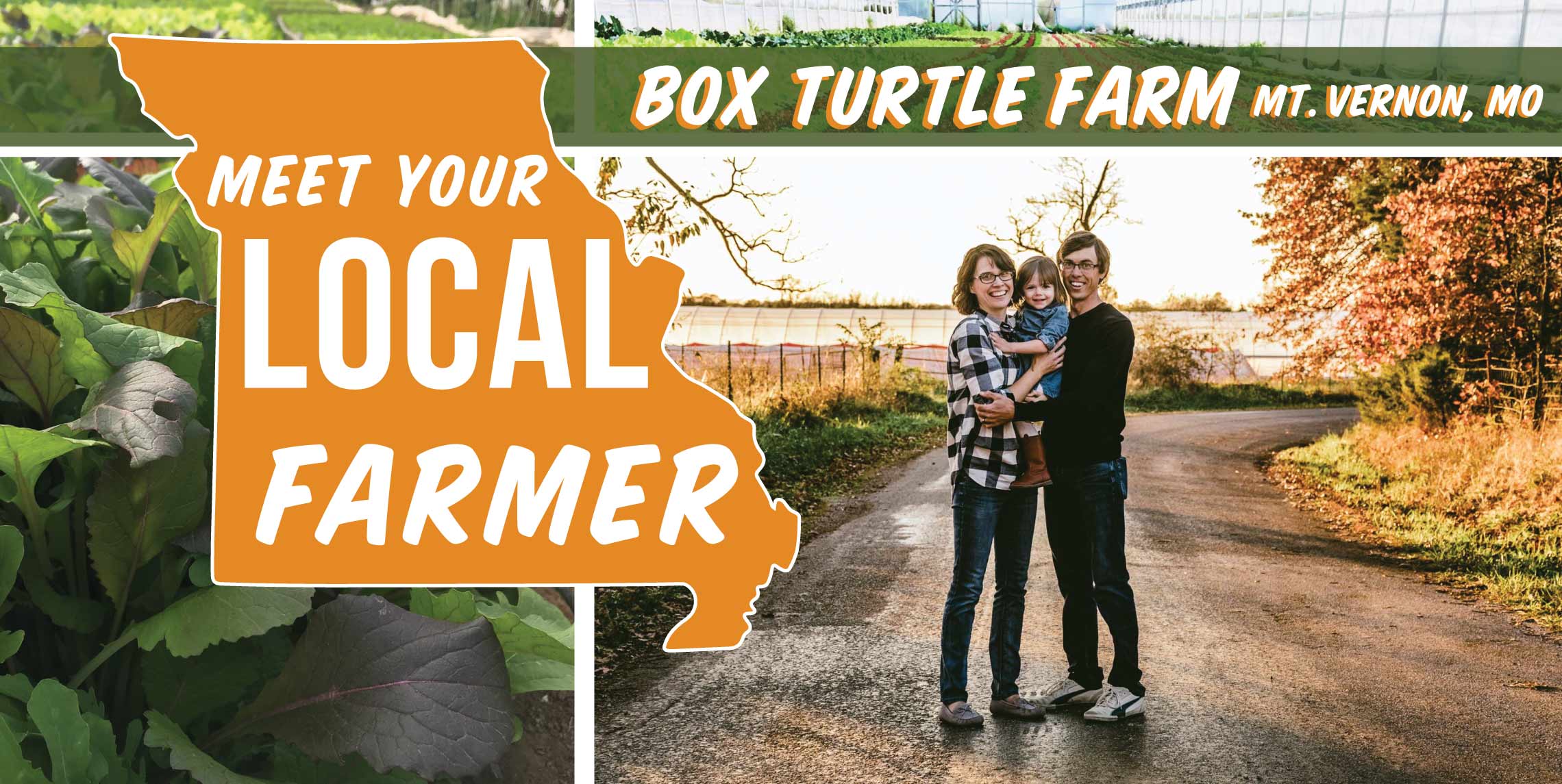 Box Turtle Farm