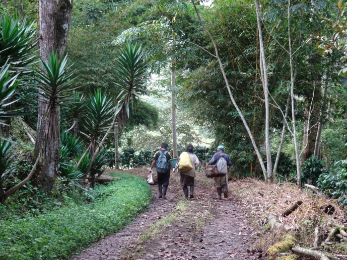 El Recreo Estate