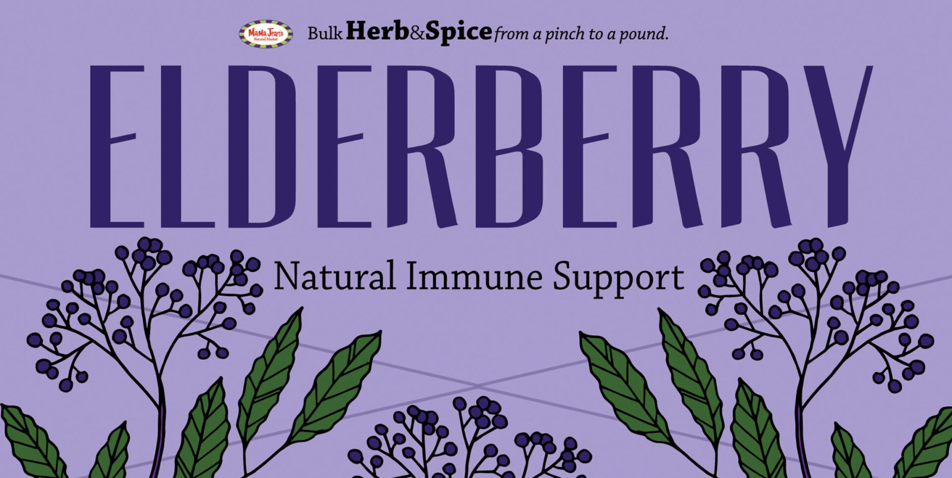 Elderberry