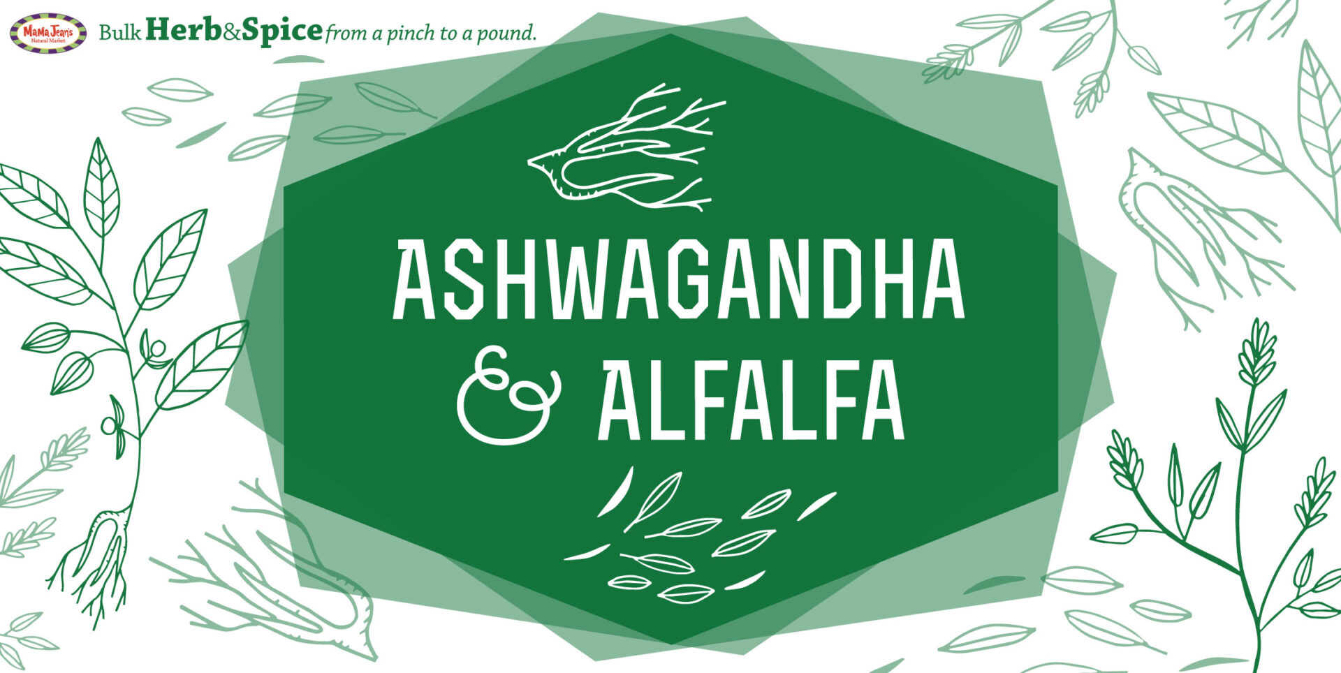 Ashwagandha Alfalfa