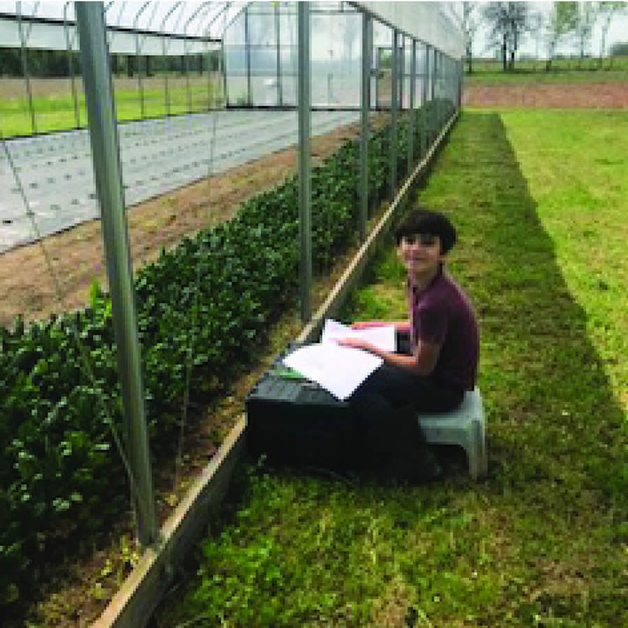The Salad Farm