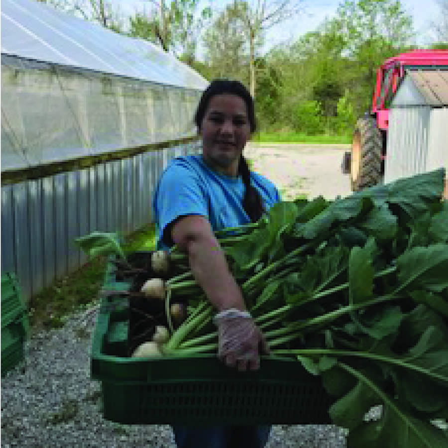 The Salad Farm