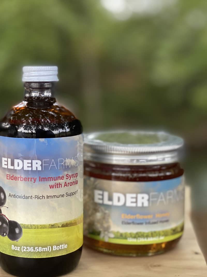 Elderberry Immune Syrup