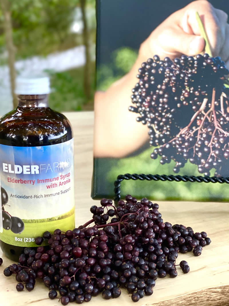 Elderberry Immune Syrup