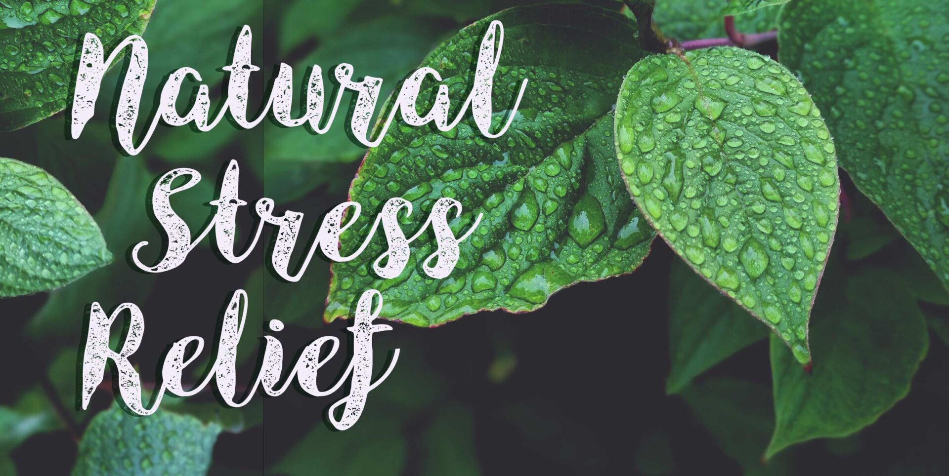 Natural Stress Relief